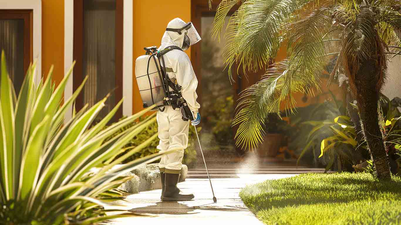 Termite Control Tips